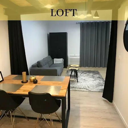 Apartamento Bel Immeuble Renove Dans Le Coeur Historique